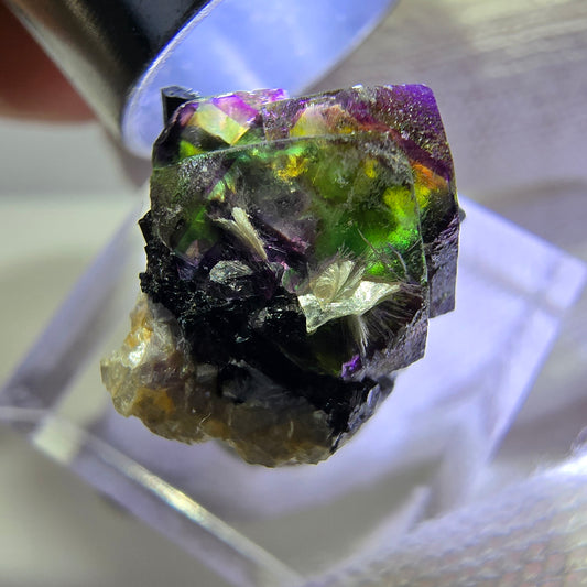 Fluorite fantôme colorée, Spécimen de tourmaline scholle muscovite, Erongo, Namibie, 19 x 17 x 14 mm