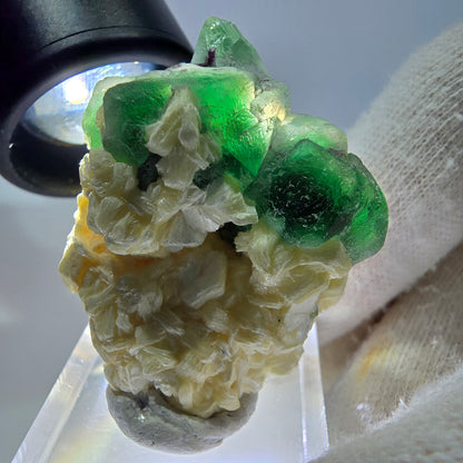Cube de fluorite fantôme zonal, spécimen de muscovite, Erongo, Namibie, 38 x 30 x 19 mm 