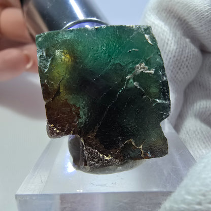 Spécimen de cube de fluorite fantôme transparente, vert violet brun zonal, Okorusu, Namibie, 31 x 20 x 19 mm 