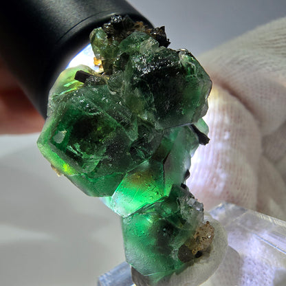 Fluorite fantôme hexagonale Schörl Tourmaline Quartz fumé Hyalite Erongo, Namibie 39*25*22mm 