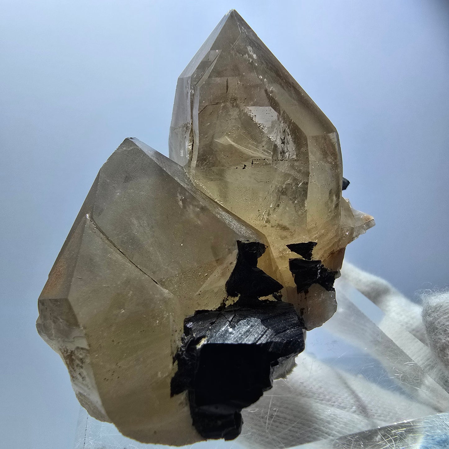 Spécimen rare de quartz fumé et de tourmaline Schorl à Erongo, Namibie, 53 x 48 x 39 mm 