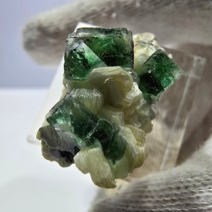 Phantom Fluorit Würfel, Muskovit Stufe Erongo, Namibia 29*19*15mm