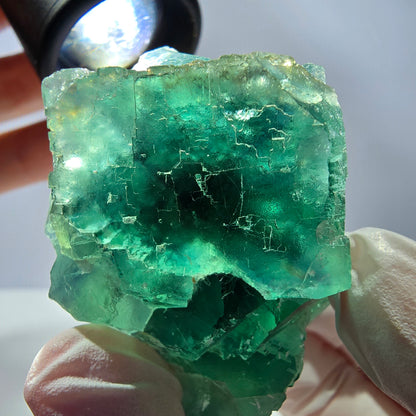 Spécimen de cube de fluorite fantôme transparente, vert parqueté Okorusu, Namibie 54 x 49 x 32 mm 