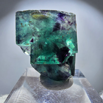 Spécimen rare de cube de fluorite fantôme, vert zonal et violet, Okorusu, Namibie, 28 x 25 x 16 mm 