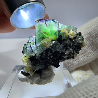 Cube de fluorite fantôme zonal, tourmaline muscovite Schörl Erongo Namibie 31*22*18mm 