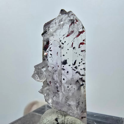 Quartz clair Harlequin Point Streep Mine, Goboboseb, Namibie, 30 x 12 x 10 mm 