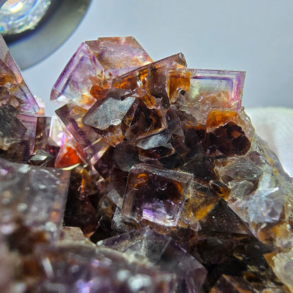 Rare spécimen de cube de fluorite fantôme, violet jaune Okorusu Namibie 63*59*34mm 