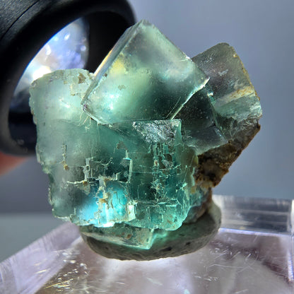 Spécimen de cube de fluorite fantôme, parquet vert Okorusu, Namibie 25 x 20 x 15 mm 