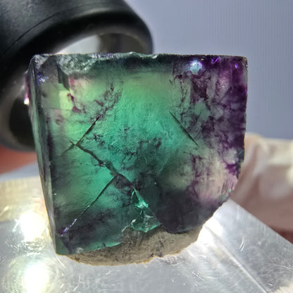 Phantom Fluorit Würfel parkettiert, grün lila Okorusu, Namibia 19*18*16mm