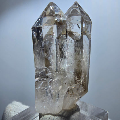 Sceptre Enhydro Phantom Smoky Quartz DT, 2x Bubble Goboboseb, Namibie 42*29*17mm