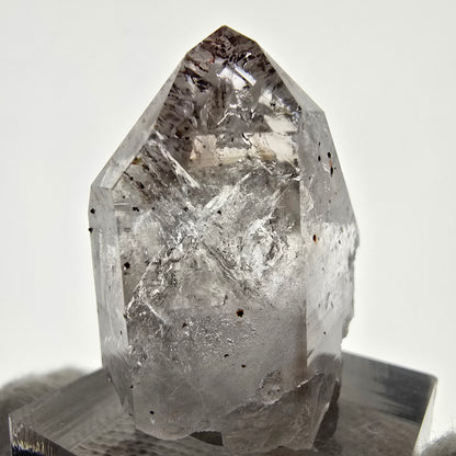 Quartz fumé fantôme Enhydro Harlequin, mine Bubble Streep, Namibie, 31 x 27 x 17 mm 