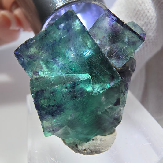 Rare spécimen de cube de fluorite fantôme, vert-violet zonal, Okorusu, Namibie, 28 x 25 x 17 mm