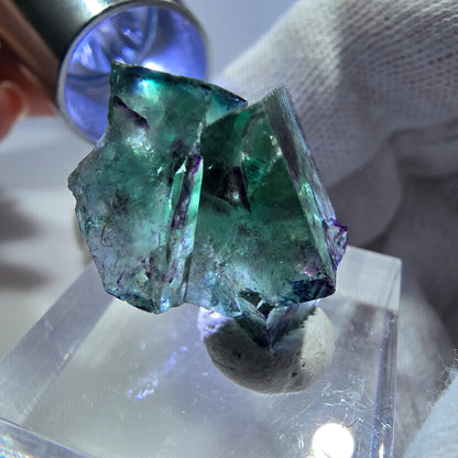Spécimen rare de cube de fluorite fantôme, vert zonal et violet, Okorusu, Namibie, 25 x 21 x 15 mm 