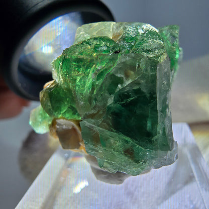 Cube de fluorite fantôme, spécimen de muscovite, Erongo, Namibie, 30 x 23 x 21 mm 