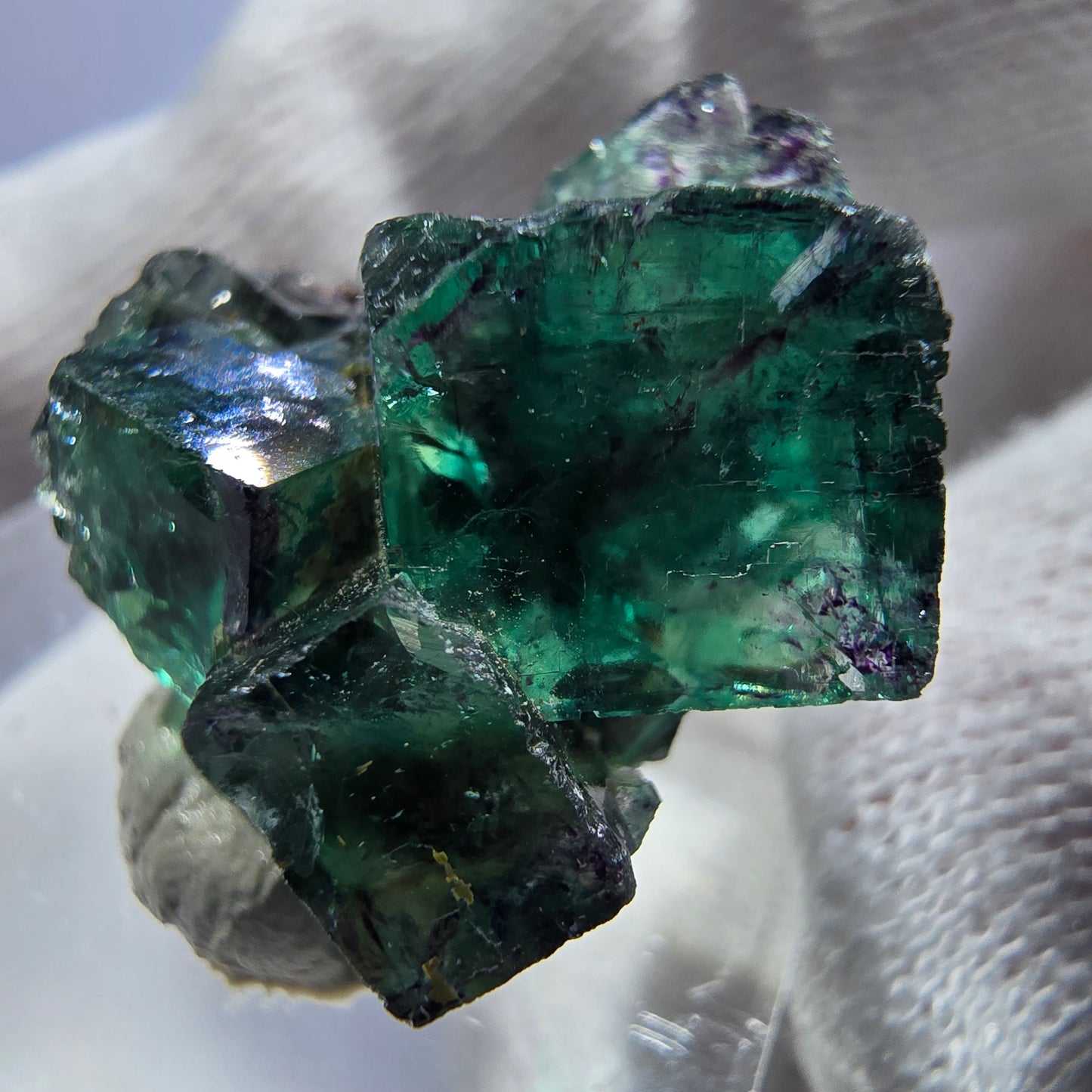 Spécimen rare de cube de fluorite fantôme, vert zonal et violet, Okorusu, Namibie, 25 x 23 x 18 mm 