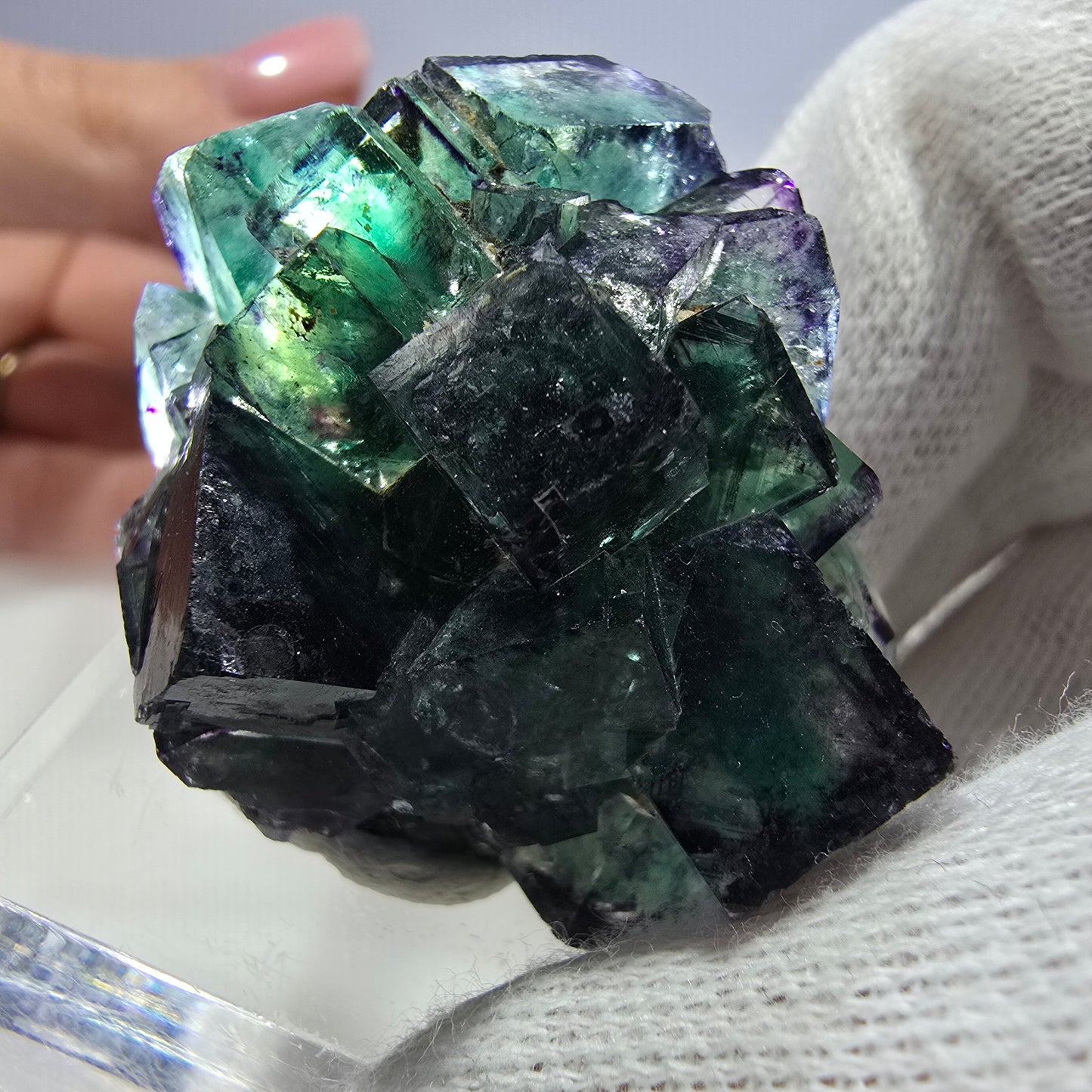 Klare Phantom Fluorit Würfel Stufe zonal grün lila Okorusu, Namibia 43*35*19mm