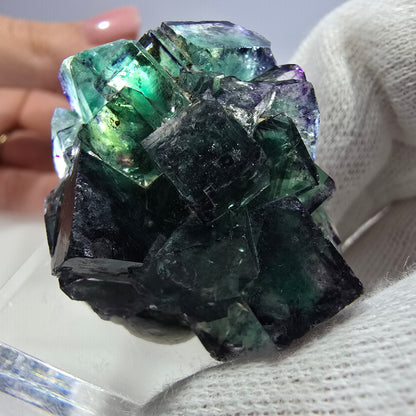Klare Phantom Fluorit Würfel Stufe zonal grün lila Okorusu, Namibia 43*35*19mm