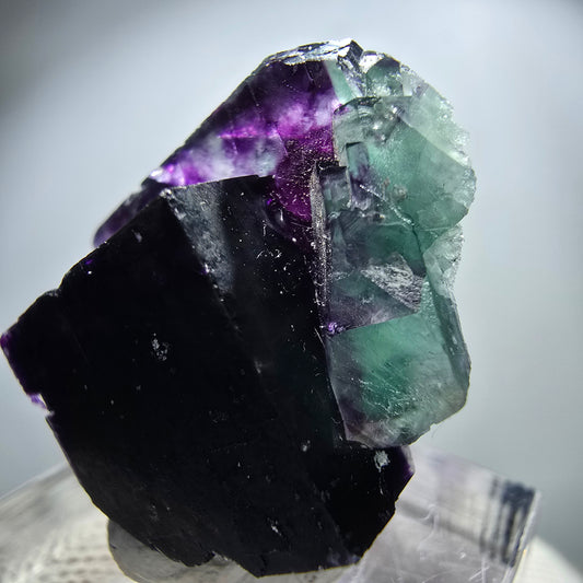 Spécimen rare de cube de fluorite fantôme, vert zonal et violet, Okorusu, Namibie, 27 x 26 x 18 mm