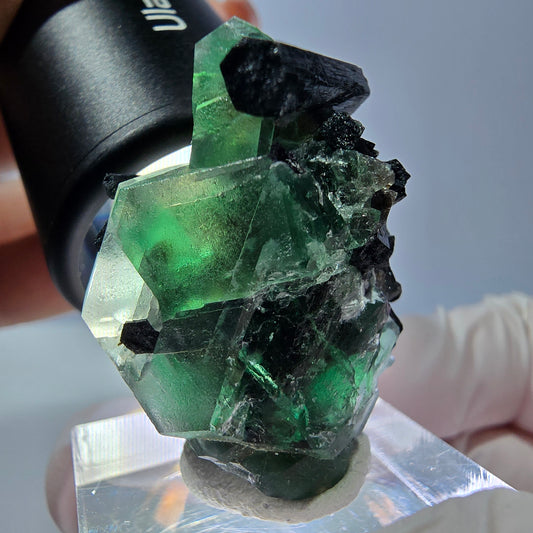Cube hexagonal de fluorite fantôme, spécimen de tourmaline Schorl, Erongo, Namibie, 30 x 25 x 13 mm