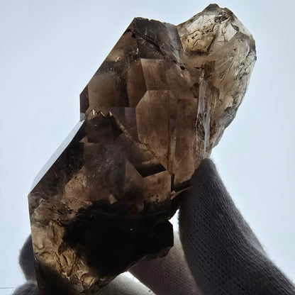Sceptre fantôme squelette en quartz fumé, poche Saint-Valentin, Namibie, 98 x 54 x 46 mm 