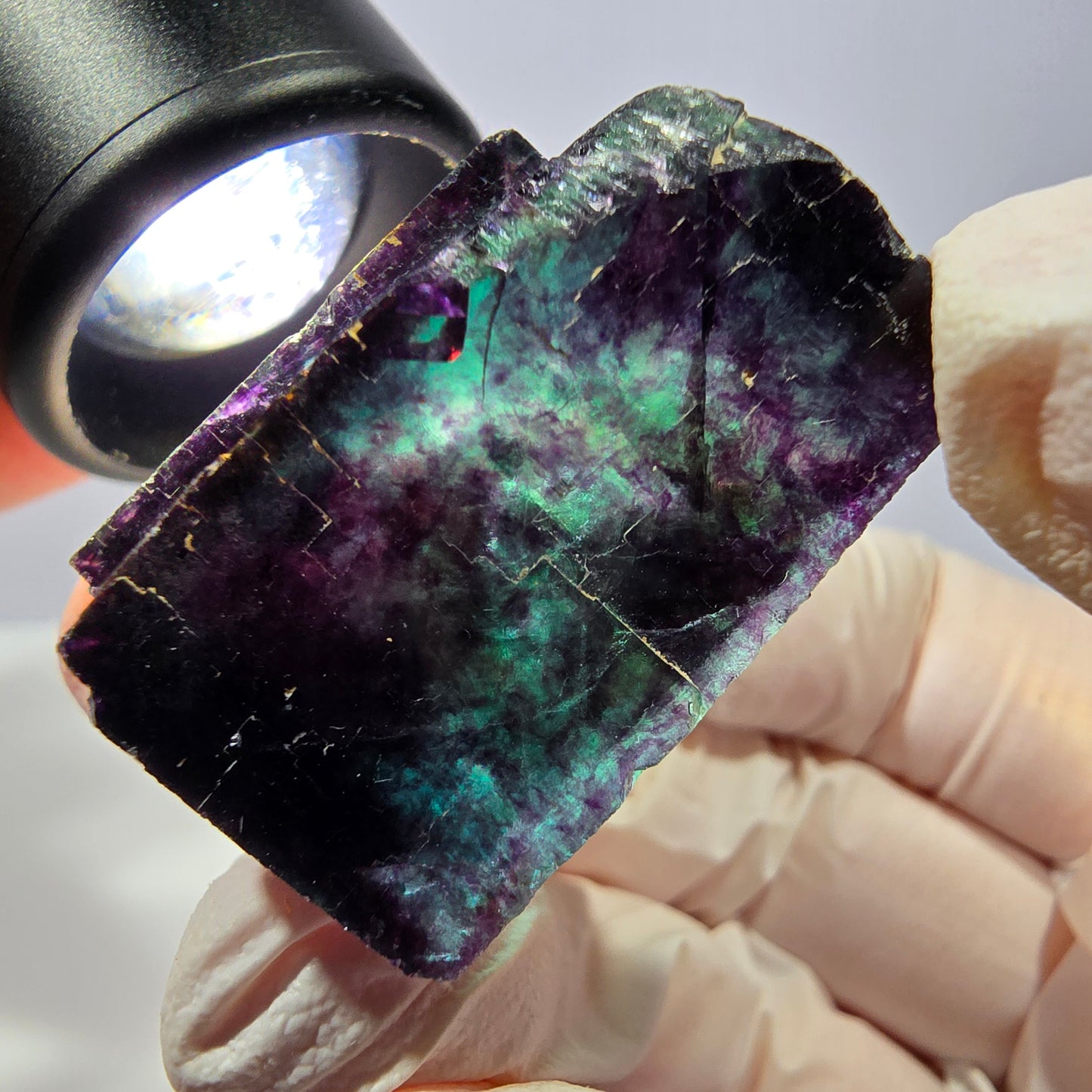 Spécimen de cube de fluorite fantôme, parqueté vert violet Okorusu, Namibie 31*30*20 mm 