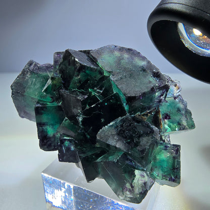 Spécimen rare de cube de fluorite fantôme, vert zonal et violet, Okorusu, Namibie, 49 x 34 x 29 mm 