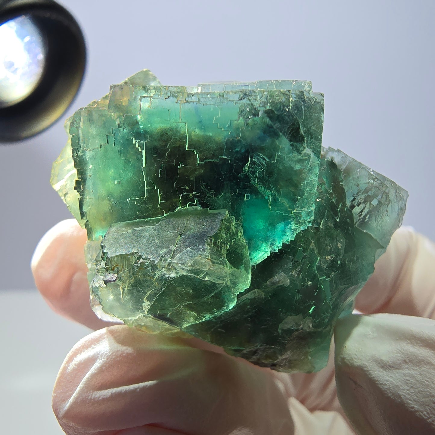Spécimen de cube de fluorite fantôme transparente, vert parqueté, Okorusu, Namibie, 43 x 40 x 23 mm 
