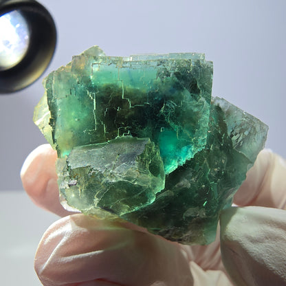Spécimen de cube de fluorite fantôme transparente, vert parqueté, Okorusu, Namibie, 43 x 40 x 23 mm 