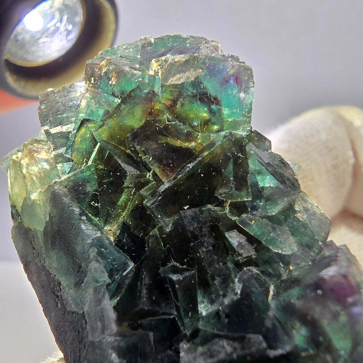 Seltene Phantom Fluorit Würfel Stufe, grün lila Okorusu Namibia 80*24*32mm
