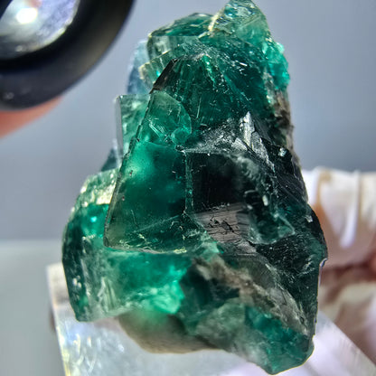 Spécimen de cube de fluorite fantôme, parquet vert Okorusu, Namibie 37 x 29 x 20 mm 