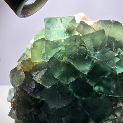 Grand spécimen de cube de fluorite fantôme, parqueté vert, Okorusu, Namibie, 104 x 82 x 43 mm 