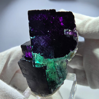 Fluorit Würfel Stufe, parkettiert grün lila 11:11 Angel Pocket Okorusu, Namibia 53*28*29mm