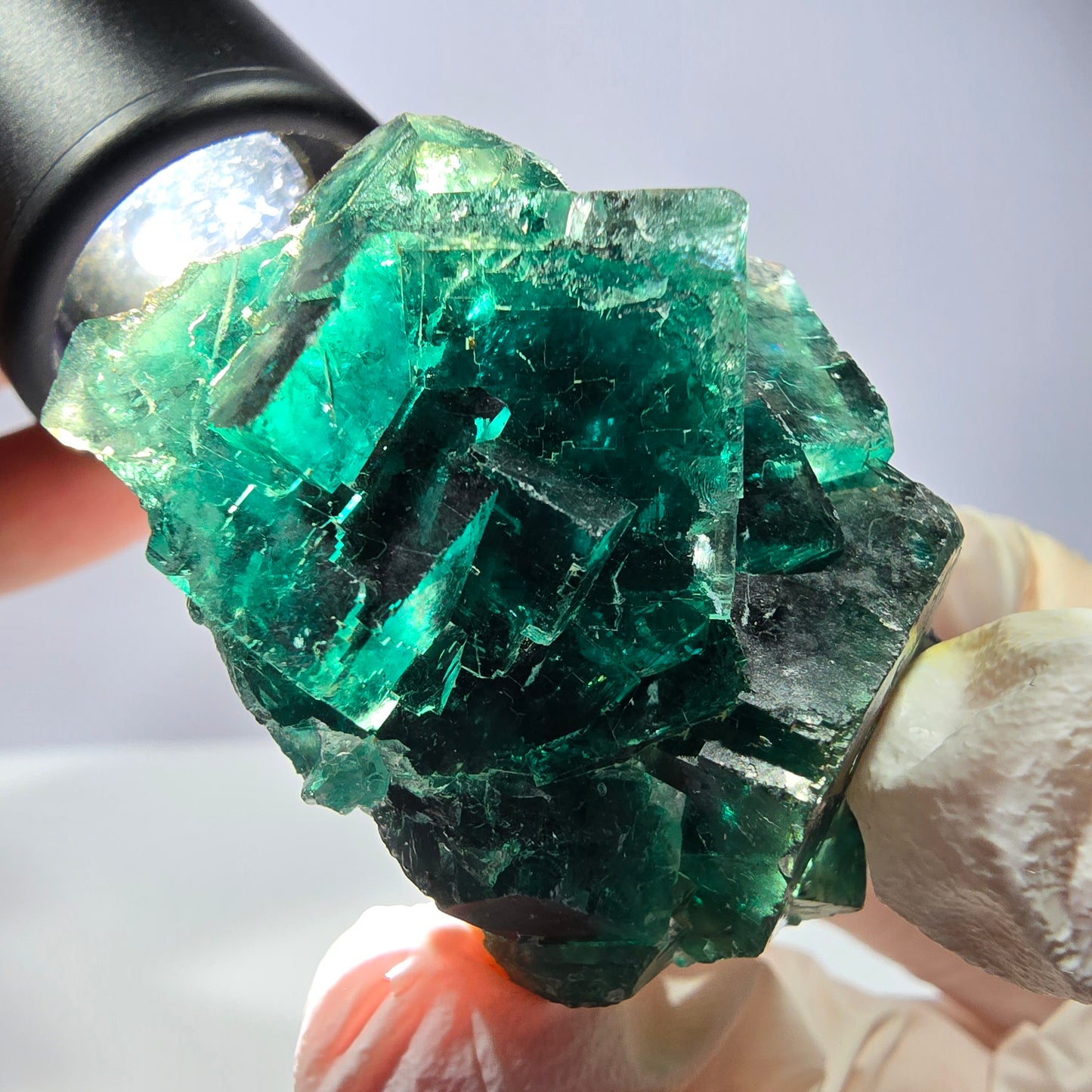 Spécimen de cube de fluorite fantôme, parqueté vert violet Okorusu, Namibie 47*36*24 mm 
