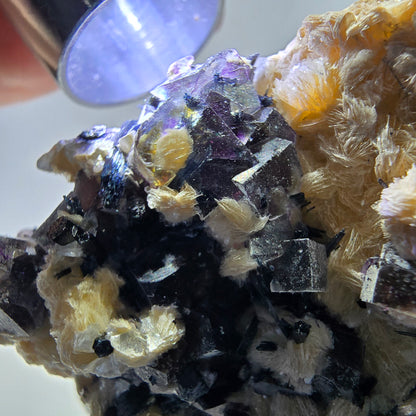 Spécimen de fluorite fantôme colorée, tourmaline scholle, muscovite, Erongo, Namibie, 54 x 49 x 40 mm 