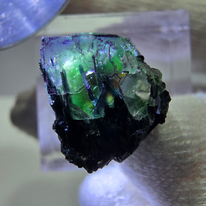 Cube de fluorite fantôme zonal, tourmaline muscovite Schörl hyalite Erongo, Namibie 21 x 15 x 15 mm 