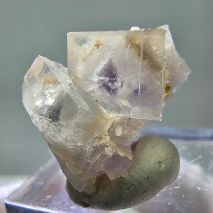 Cubes de fluorite fantôme UV rares, qualité quartz Brandberg, Namibie 23*18*13mm 