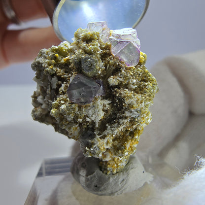 Cube de fluorite fantôme zonal, spécimen de muscovite, Erongo, Namibie, 27 x 25 x 23 mm 