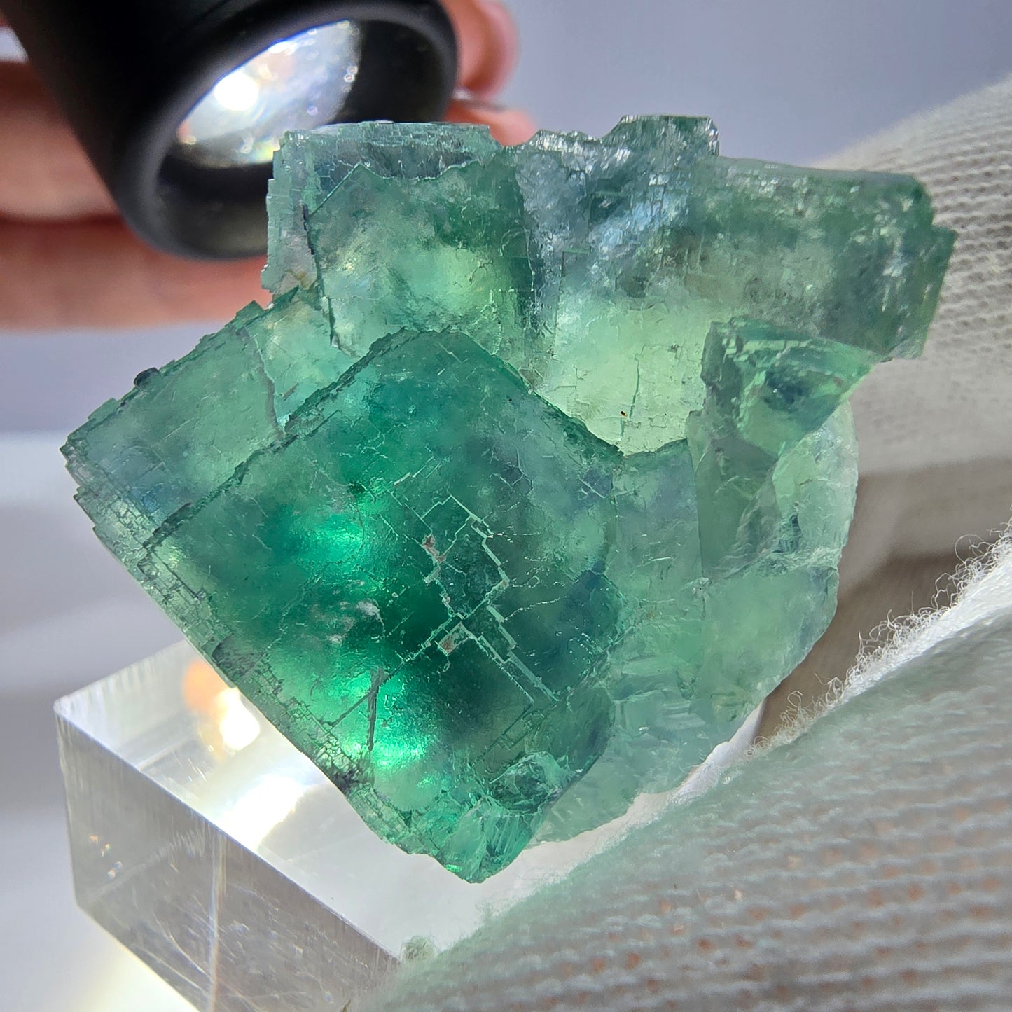 Spécimen de cube de fluorite fantôme parqueté vert turquoise Okorusu, Namibie 41*35*22mm 