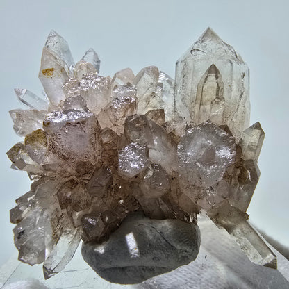 Skeleton Phantom Smoky Quartz DT Scepter Grade Valentine Pocket, Namibia 55*44*18mm 