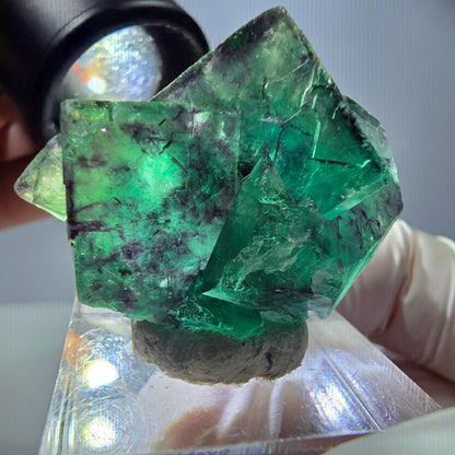 Phantom Fluorit Würfel Stufe, parkettiert grün lila Okorusu, Namibia 37*27*19mm
