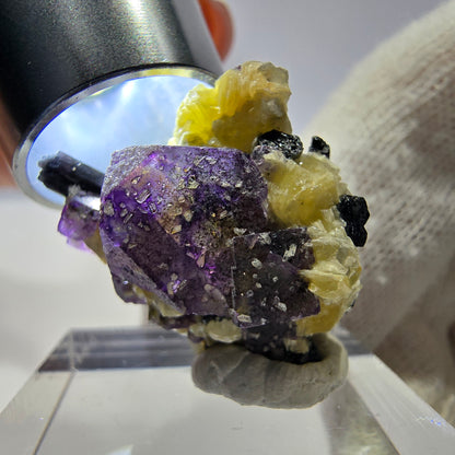Spécimen de fluorite fantôme colorée, tourmaline scholle, muscovite, Erongo, Namibie, 25 x 20 x 16 mm 