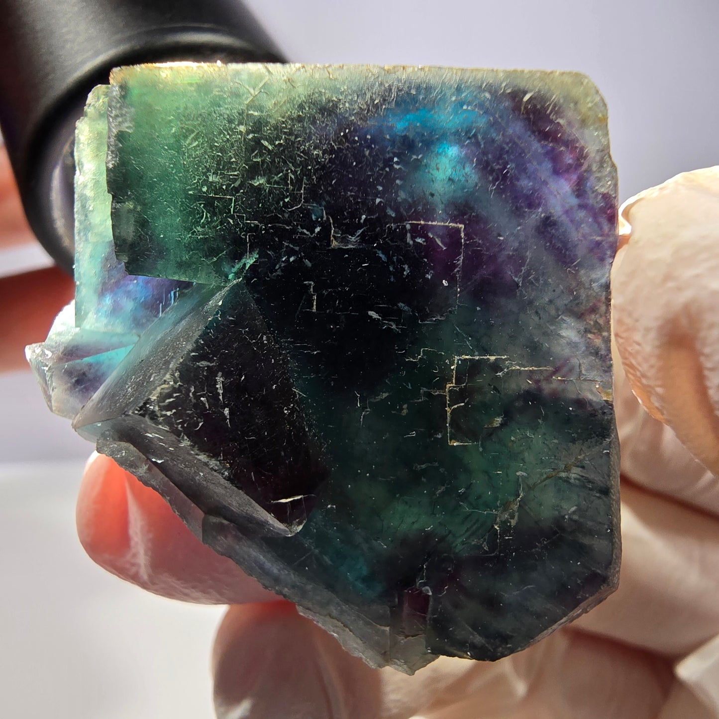 Rare spécimen de cube de fluorite fantôme, poche papillon, Okorusu, Namibie, 48 x 33 x 22 mm 