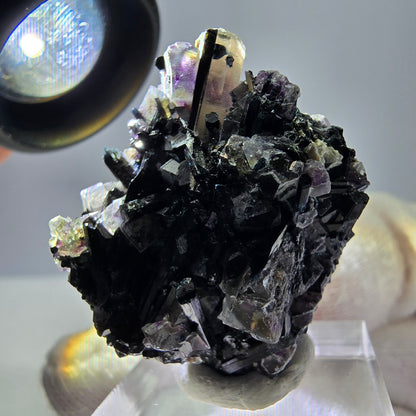 Spécimen de fluorite fantôme colorée, tourmaline scholle, muscovite, Erongo, Namibie, 28 x 30 x 19 mm 