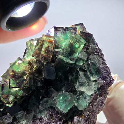 Grand spécimen de cube de fluorite fantôme, vert violet, Okorusu, Namibie, 83 x 55 x 29 mm 