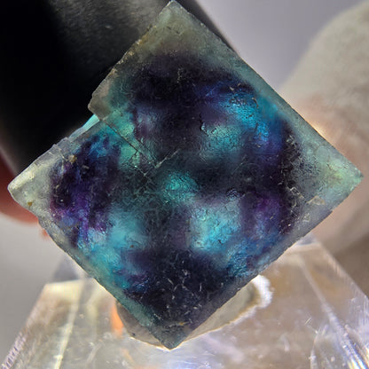 Spécimen de cube de fluorite fantôme, zonal – Nouvelle découverte ! Okorusu, Namibie, 24 x 23 x 12 mm 