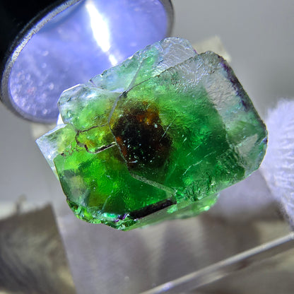 Phantom Fluorit Würfe Stufe, grün weiß lila zonal Erongo, Namibia 16*16*12mm