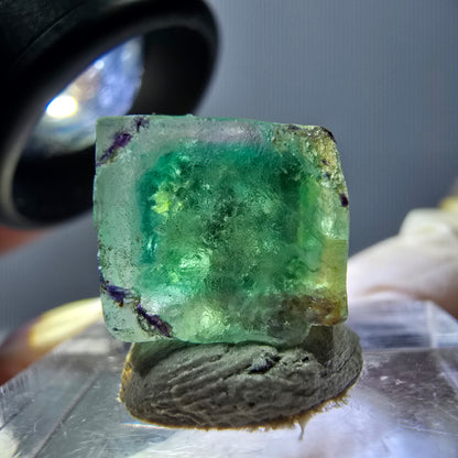Phantom Fluorit Würfel parkettiert, grün lila Okorusu, Namibia 12*12*12mm