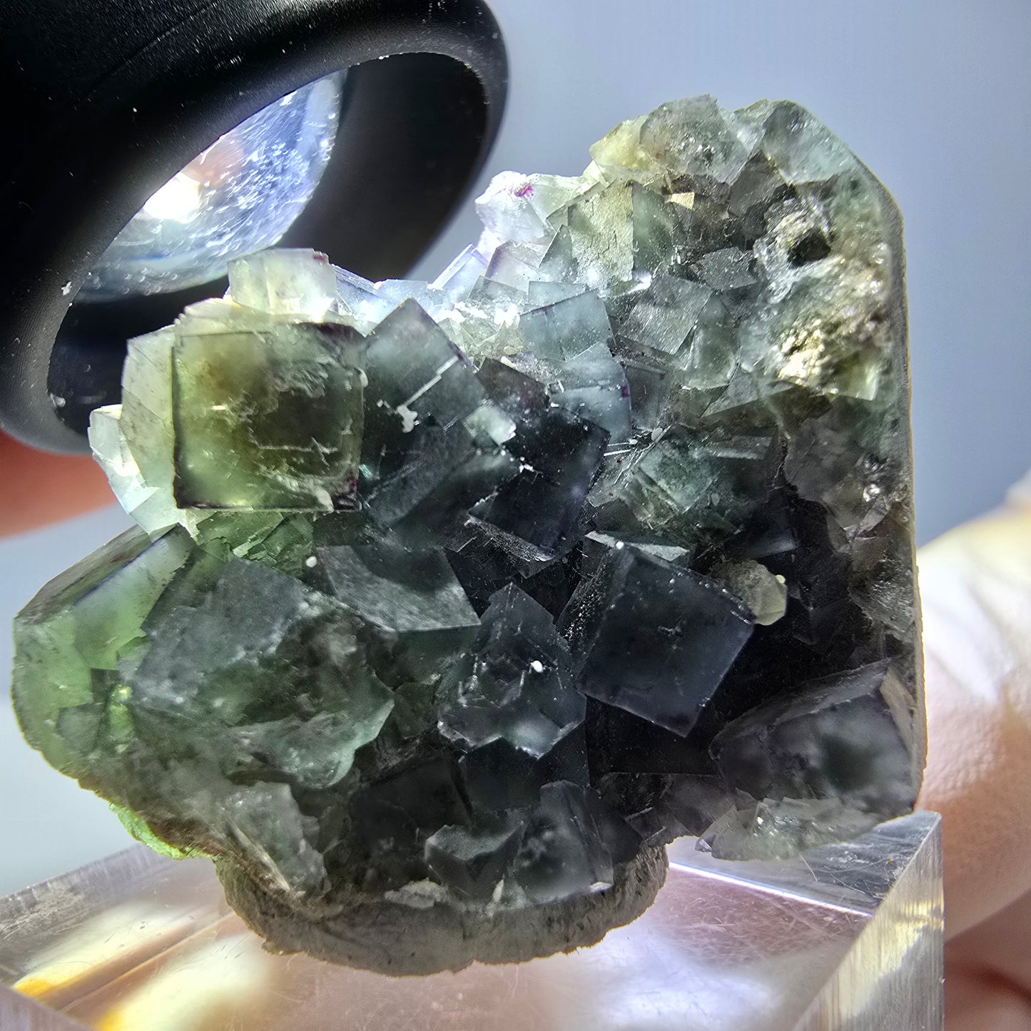 Spécimen de cube de fluorite fantôme, vert violet, Okorusu, Namibie, 35 x 28 x 22 mm 