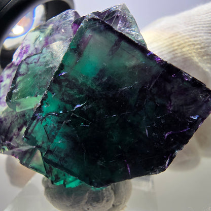 Spécimen rare de cube de fluorite fantôme, vert zonal et violet, Okorusu, Namibie, 37 x 37 x 29 mm 