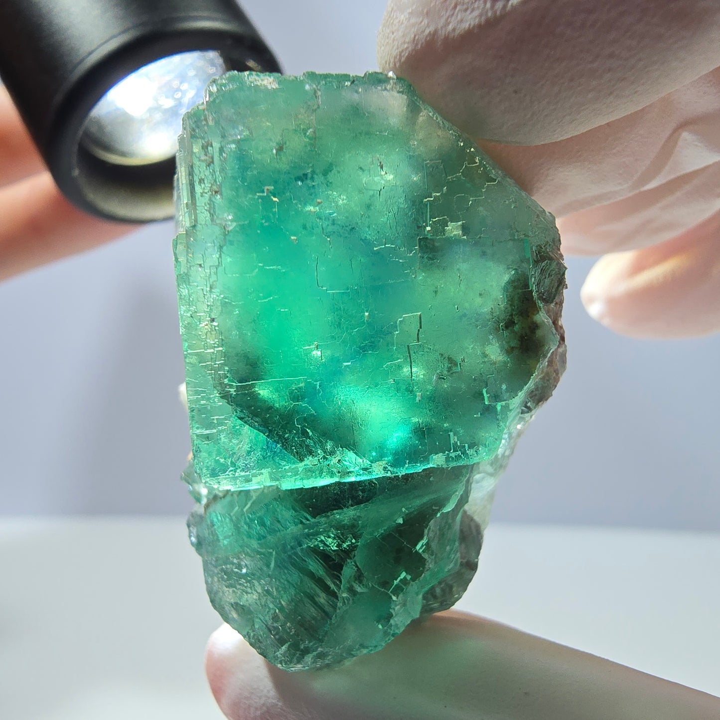 Spécimen de cube de fluorite fantôme transparente, vert parqueté, Okorusu, Namibie, 40 x 35 x 24 mm 